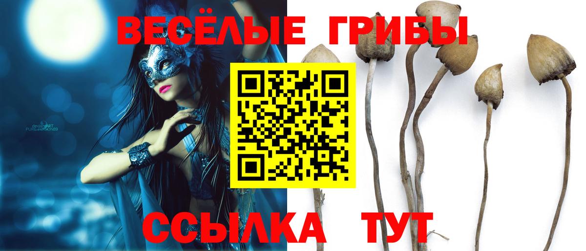 Галлюциногенные грибы Magic Shrooms  Галлюциногенные грибы ЛСД  Лениногорск  где найти   Вход с VPN 
