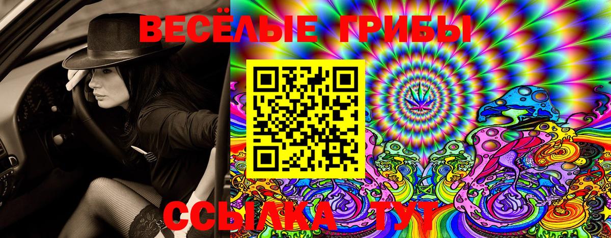 Псилоцибиновые грибы Magic Shrooms Лениногорск